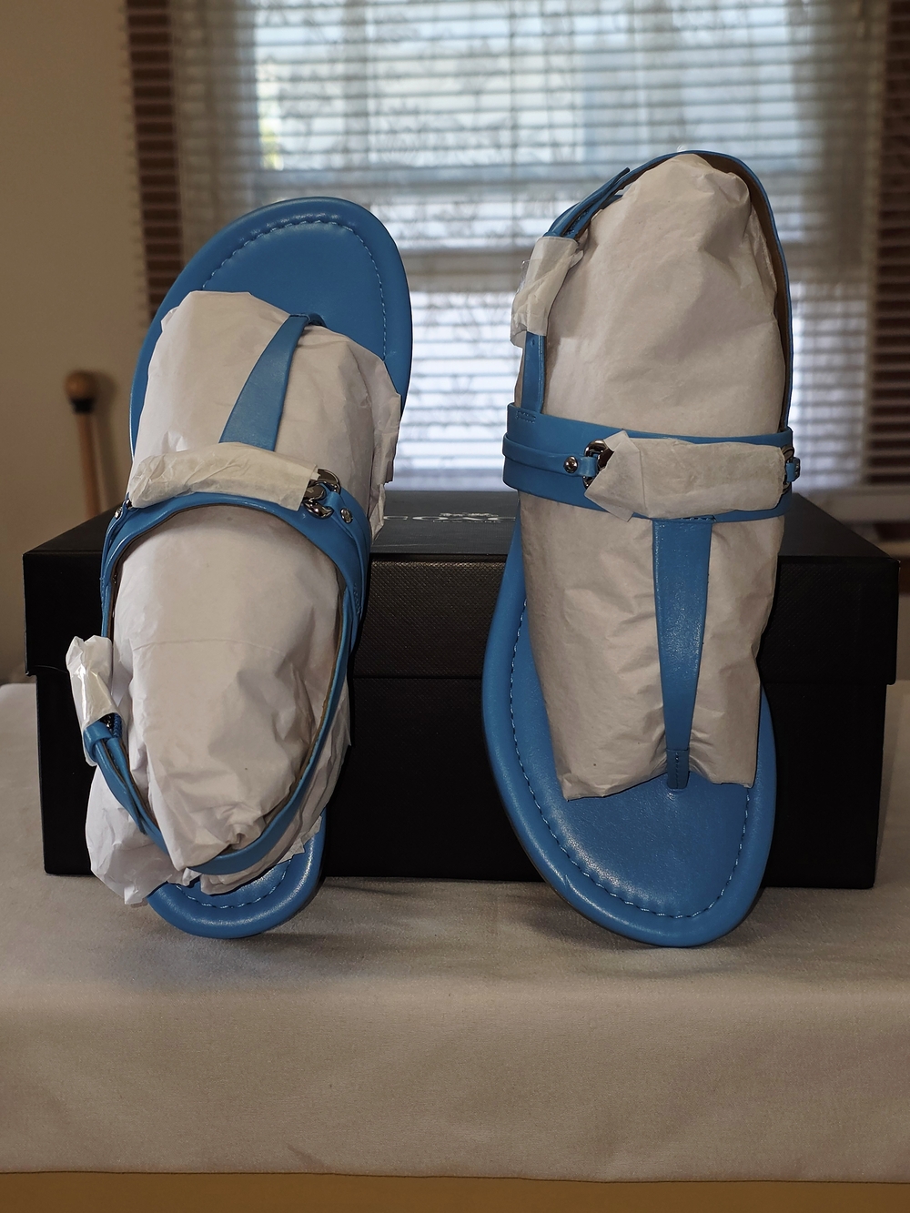 COACH Caterine Semi Matte Calf Leather Sandals in Azure Size 7M - Picture 3 of 8